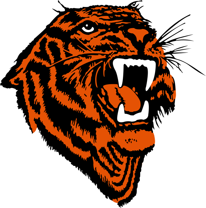 Pacific Tigers 1965-1985 Primary Logo diy iron on heat transfer